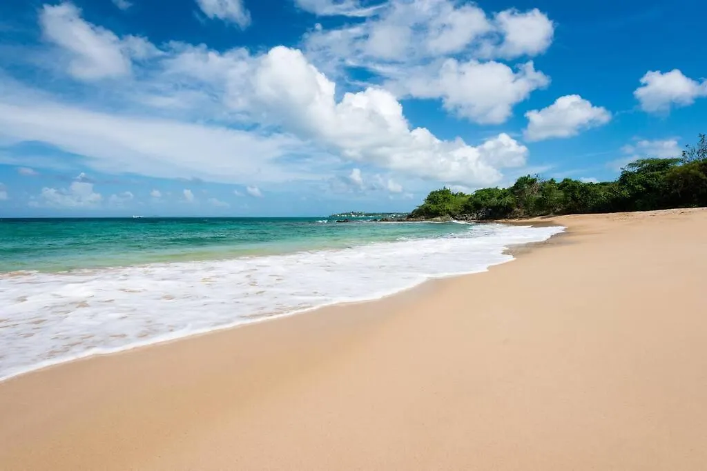 Beautiful Villa! Diiscount Via What Aspp! Pool, Secluded Beach! Check The Number From The Photos! Vieques Puerto Rico